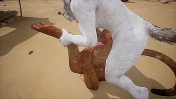 Play White wolf has sex with lion - wildlife